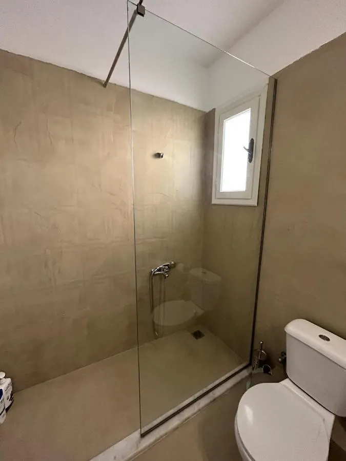 Athena'S Sea View Apartment 阿尔戈斯托利翁